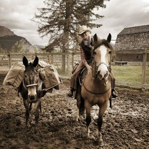 Meet your Posher, Verity